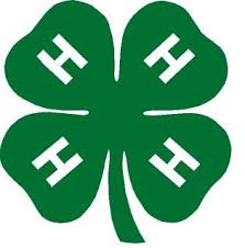 Candidates for the 4-H Club Student Council