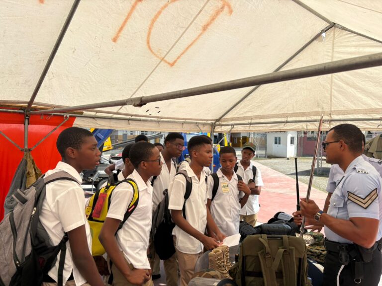 Career Day at Future Fest