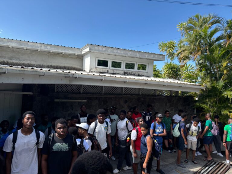 4H Citronier Health Walk