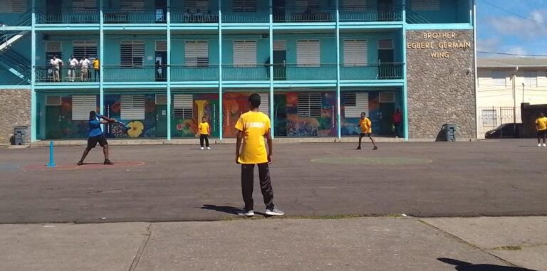 Results of the Cricket game